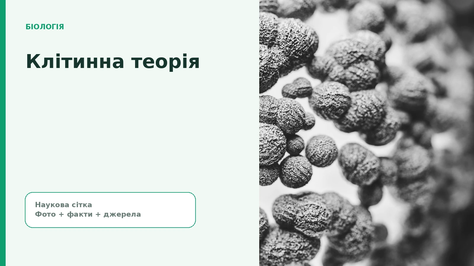 Биология